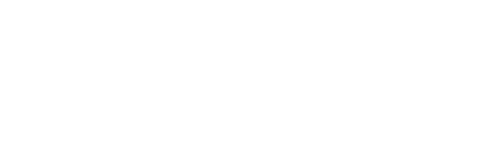 Sentry Plus